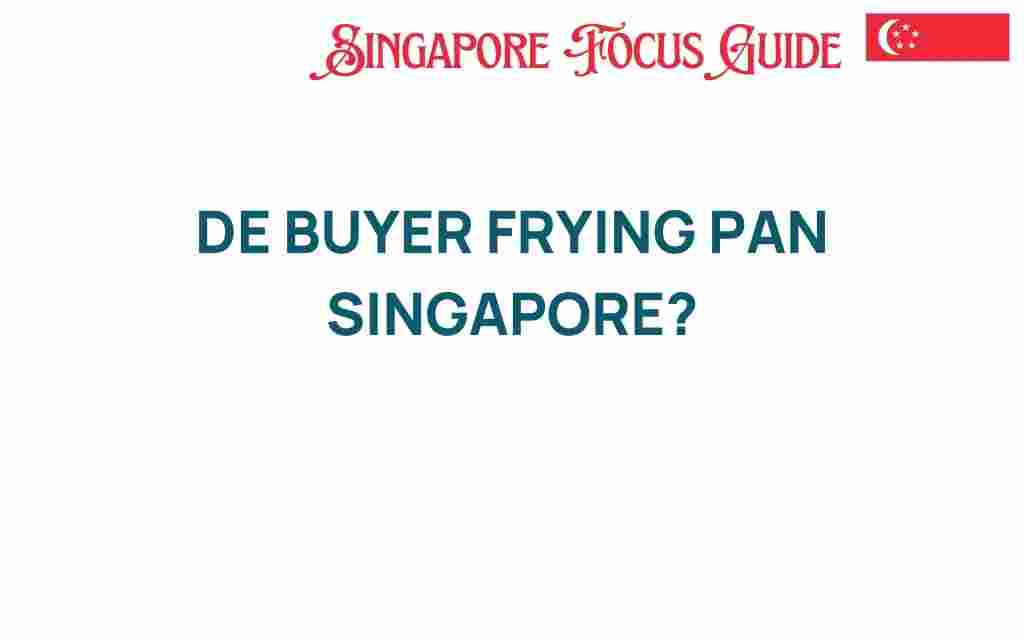 de-buyer-frying-pan-singapore