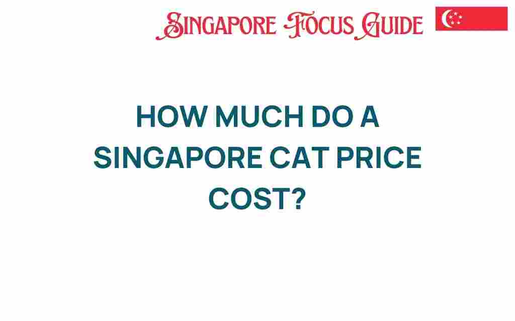 singapore-cat-price