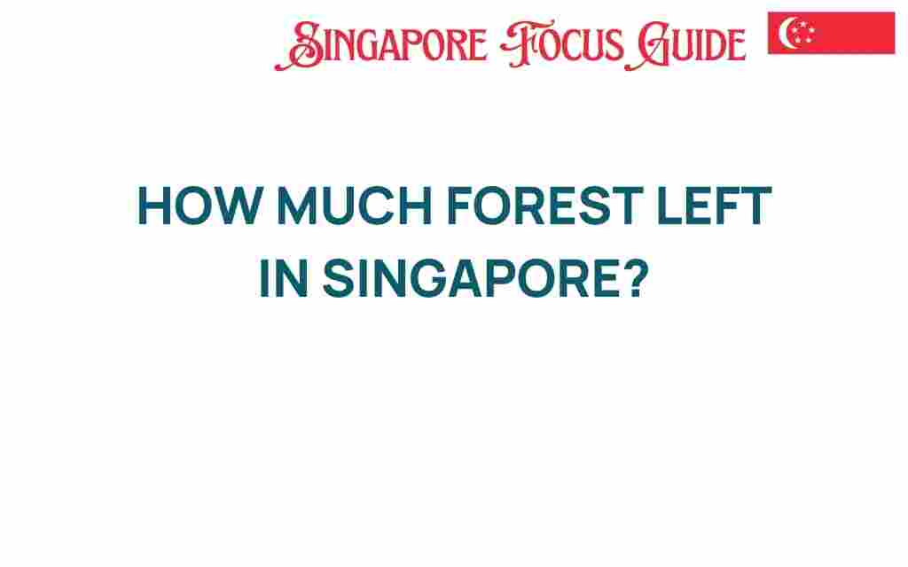 how-much-forest-left-in-singapore