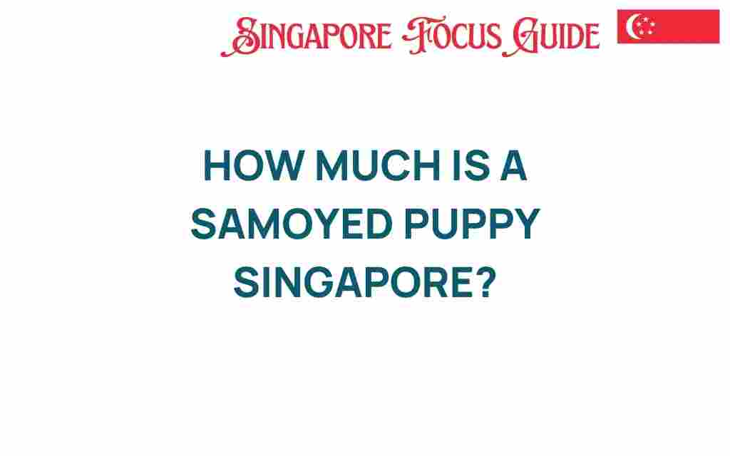 samoyed-puppy-cost-singapore