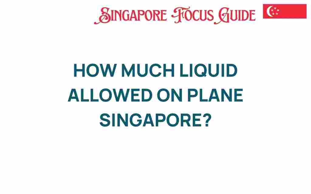 how-much-liquid-allowed-on-planes-singapore