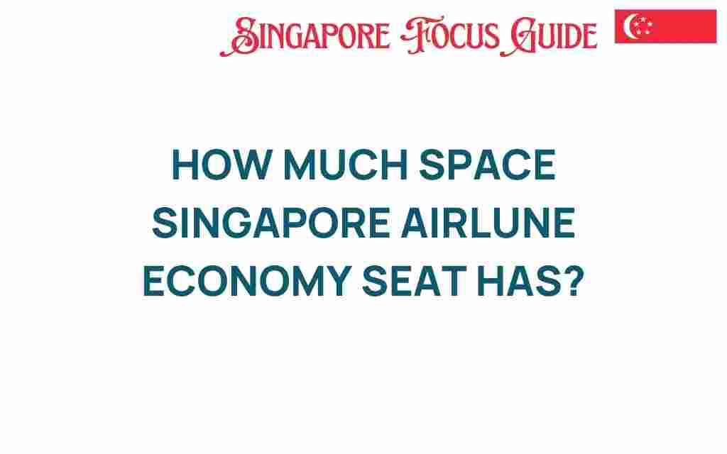 how-much-space-singapore-airlines-economy-seat