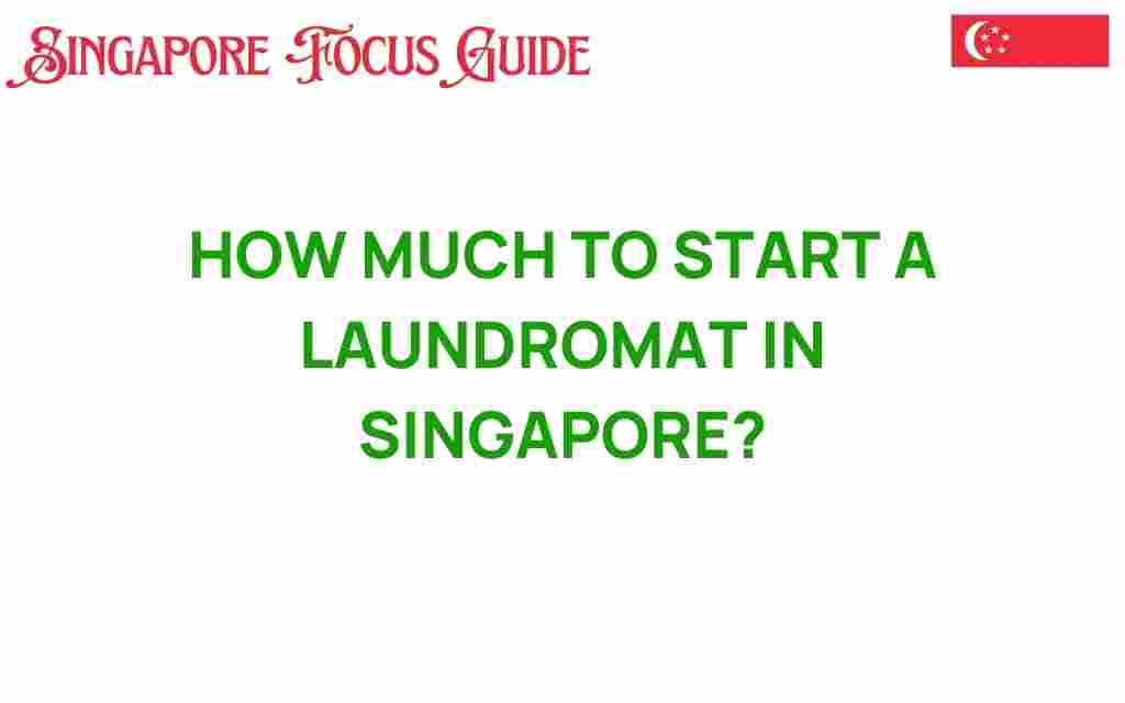 how-much-to-start-a-laundromat-in-singapore
