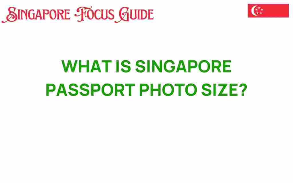 singapore-passport-photo-size