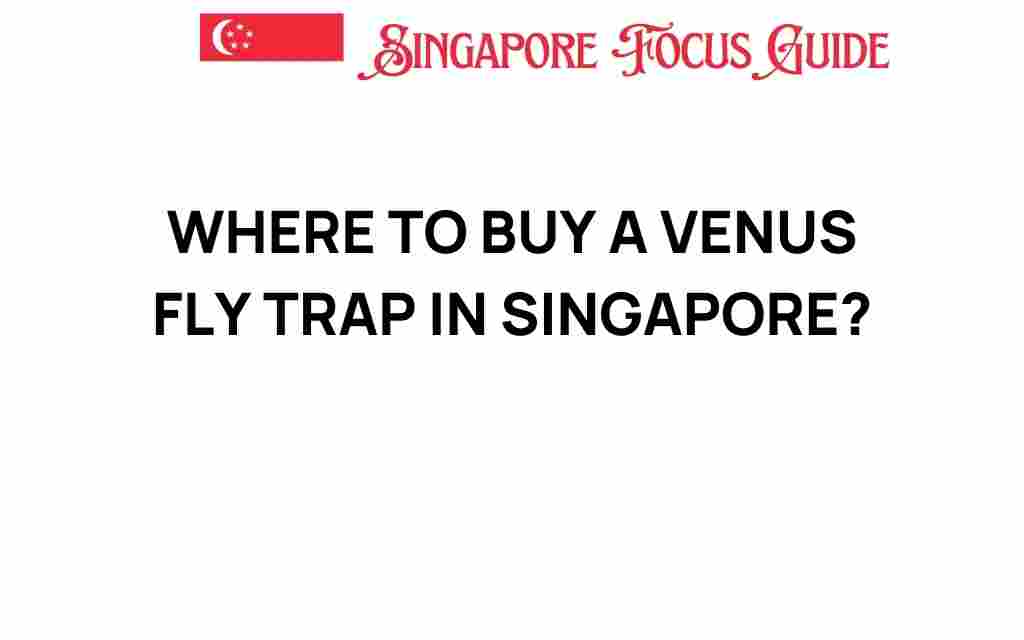 buy-venus-fly-trap-singapore