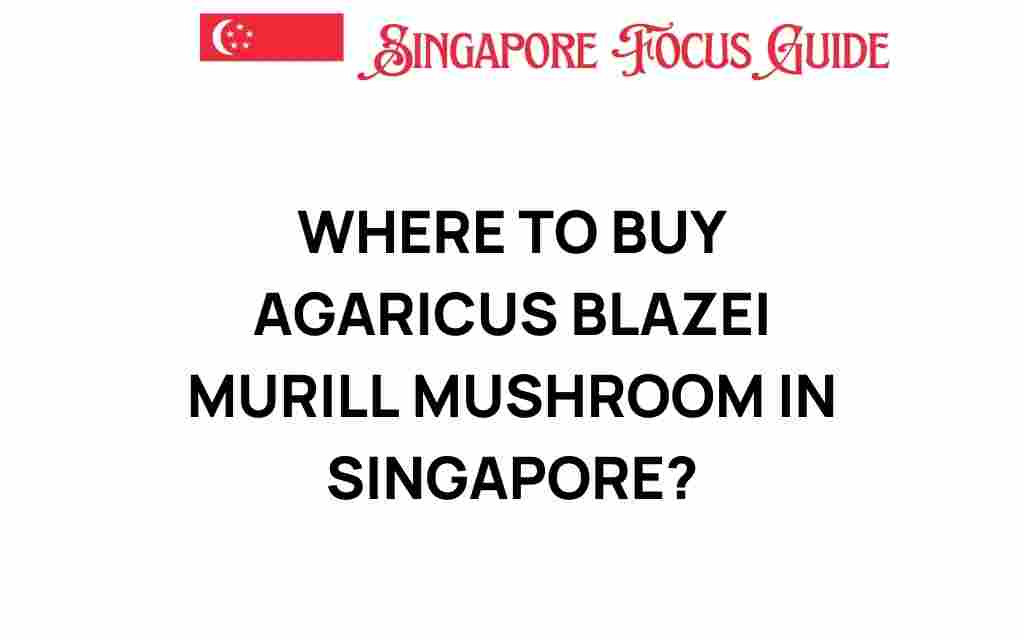 buy-agaricus-blazei-murill-mushroom-singapore