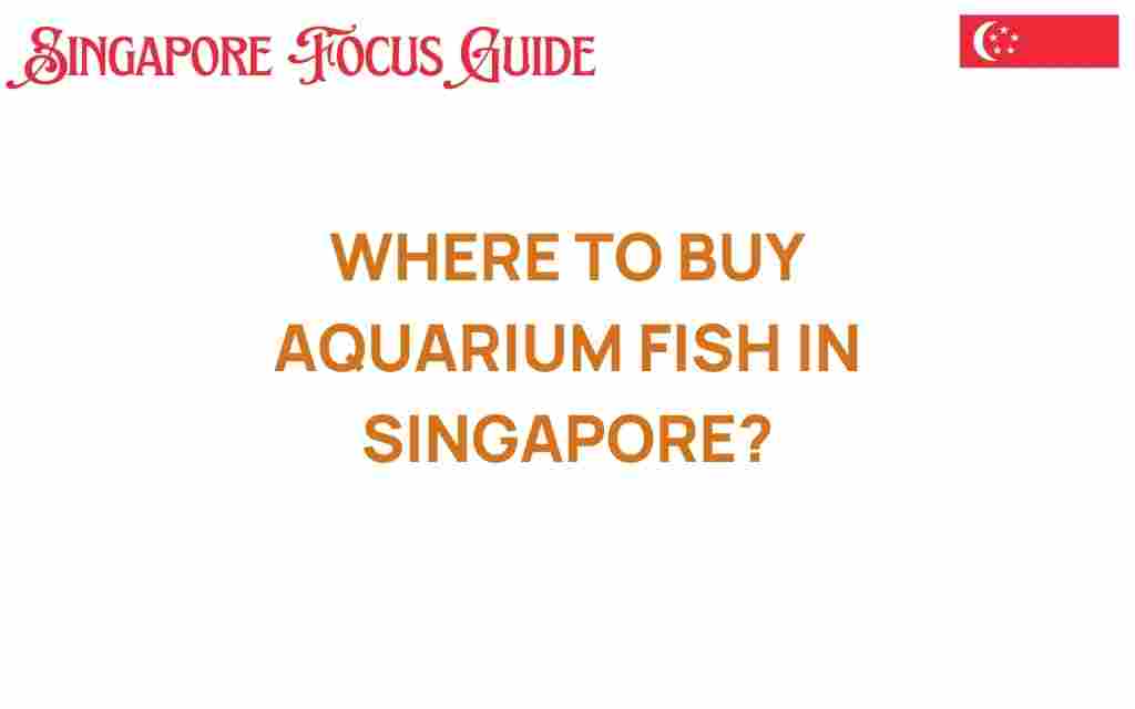 buy-aquarium-fish-singapore