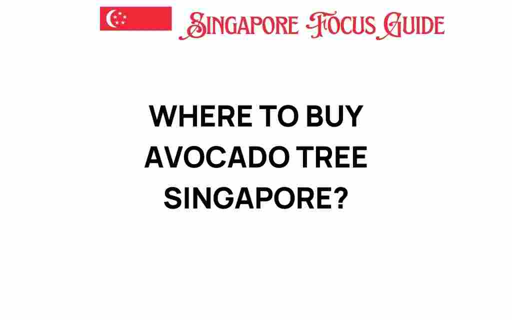 where-to-buy-avocado-tree-singapore