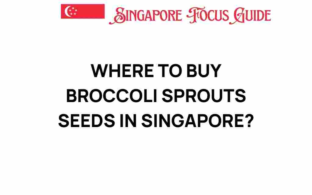 buy-broccoli-sprouts-seeds-singapore