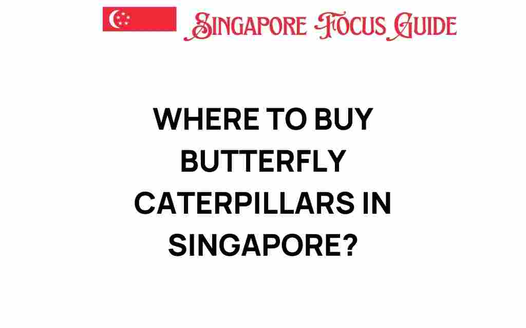 buy-butterfly-caterpillars-singapore