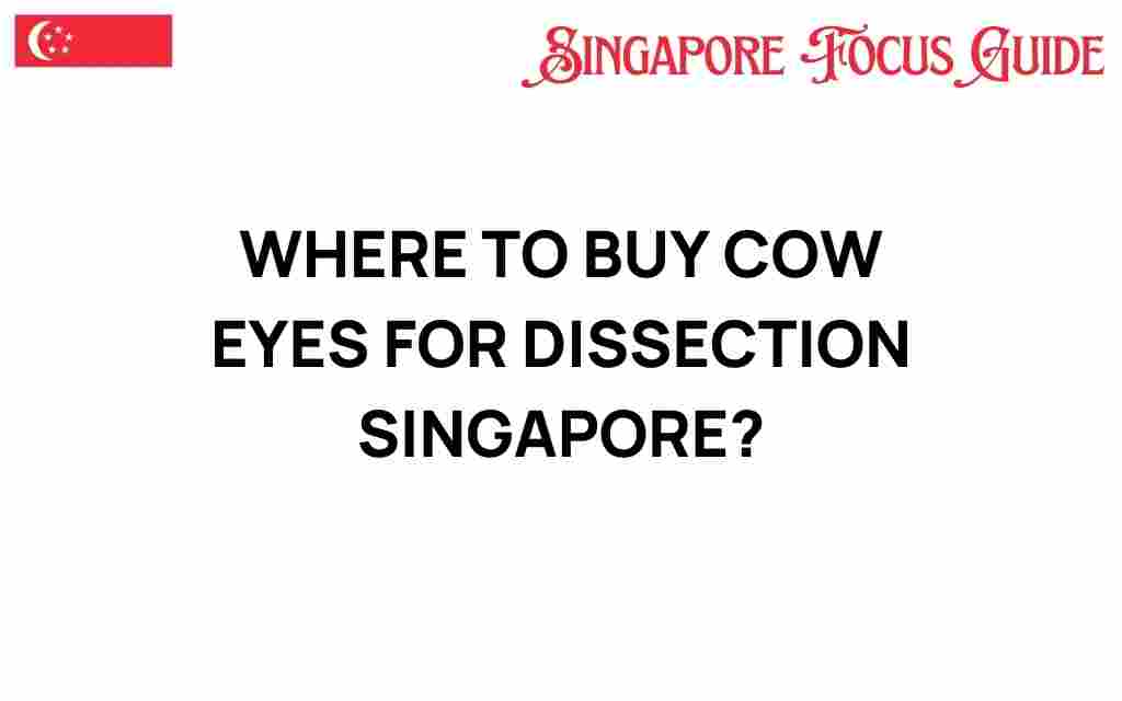 where-to-buy-cow-eyes-for-dissection-singapore