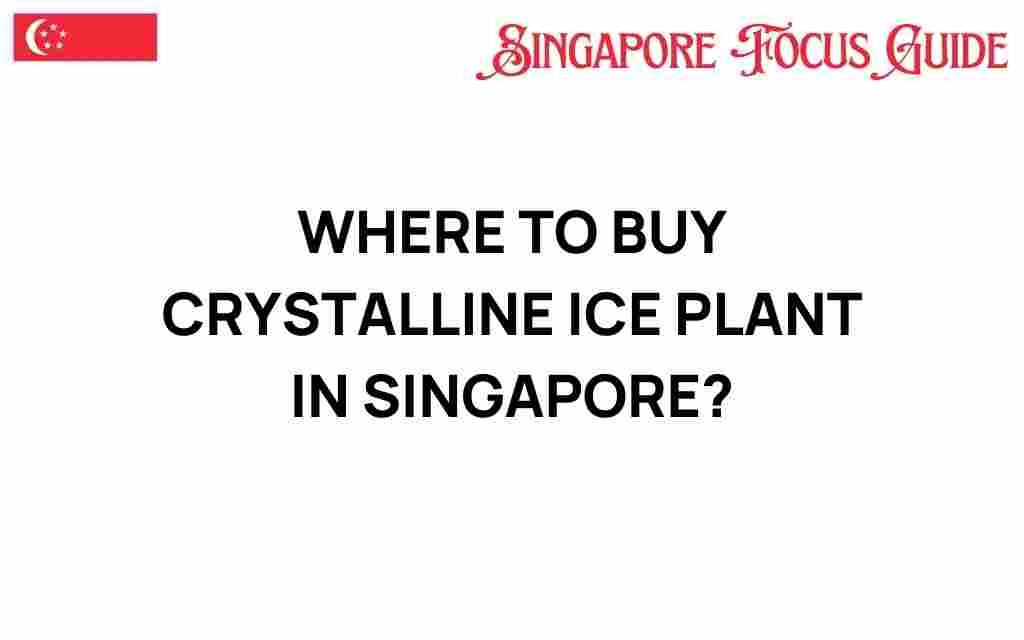 buy-crystalline-ice-plant-singapore