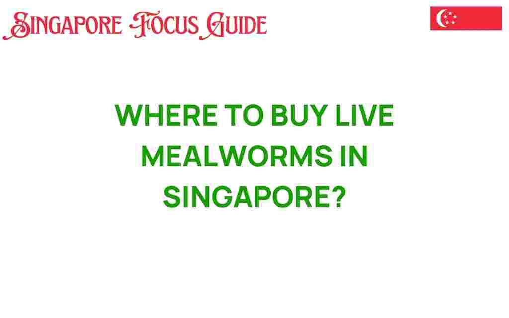 buy-live-mealworms-singapore